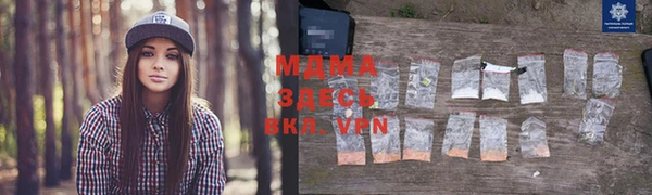 spice Бородино