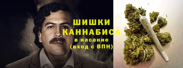 СК Бронницы