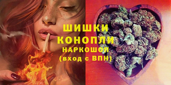СК Бронницы
