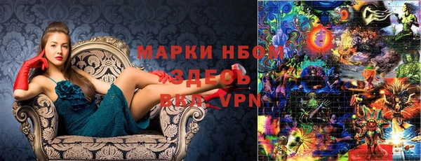 spice Бородино
