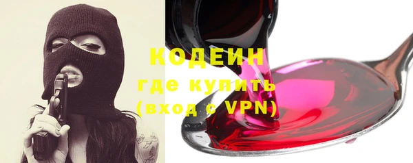 spice Бородино