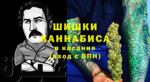 СК Бронницы