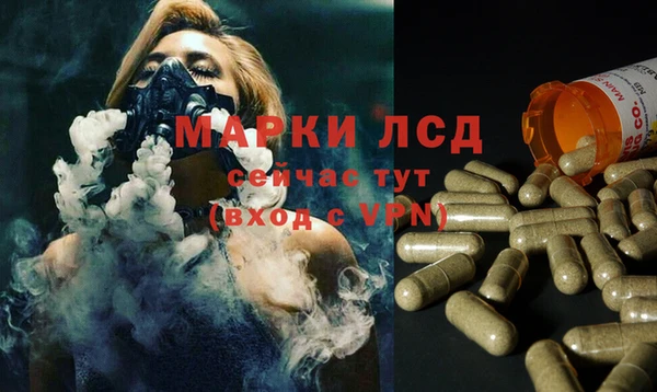 spice Бородино
