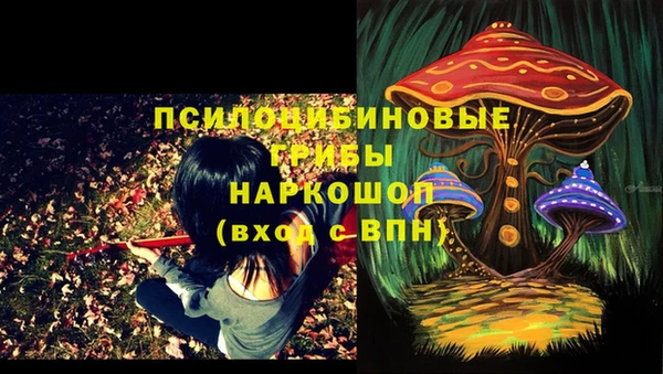 spice Бородино