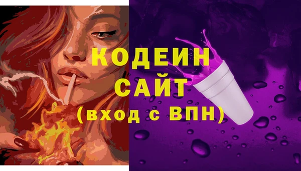 spice Бородино