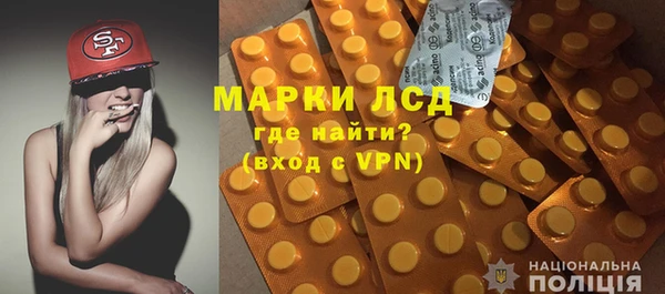spice Бородино